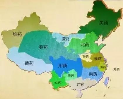 歙縣道地藥材_安徽的道地藥材_安徽道地藥材