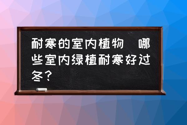 可以過冬的室內(nèi)綠植有哪些_室內(nèi)過冬綠植有可以澆水的嗎_能過冬的室內(nèi)綠植