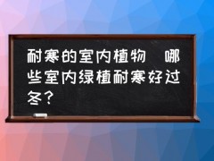 耐寒的室內(nèi)植物(哪些室內(nèi)綠植耐寒好過冬？)