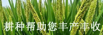 常用有機(jī)磷農(nóng)藥_常見的有機(jī)磷農(nóng)藥有哪些_有機(jī)磷類農(nóng)藥種類