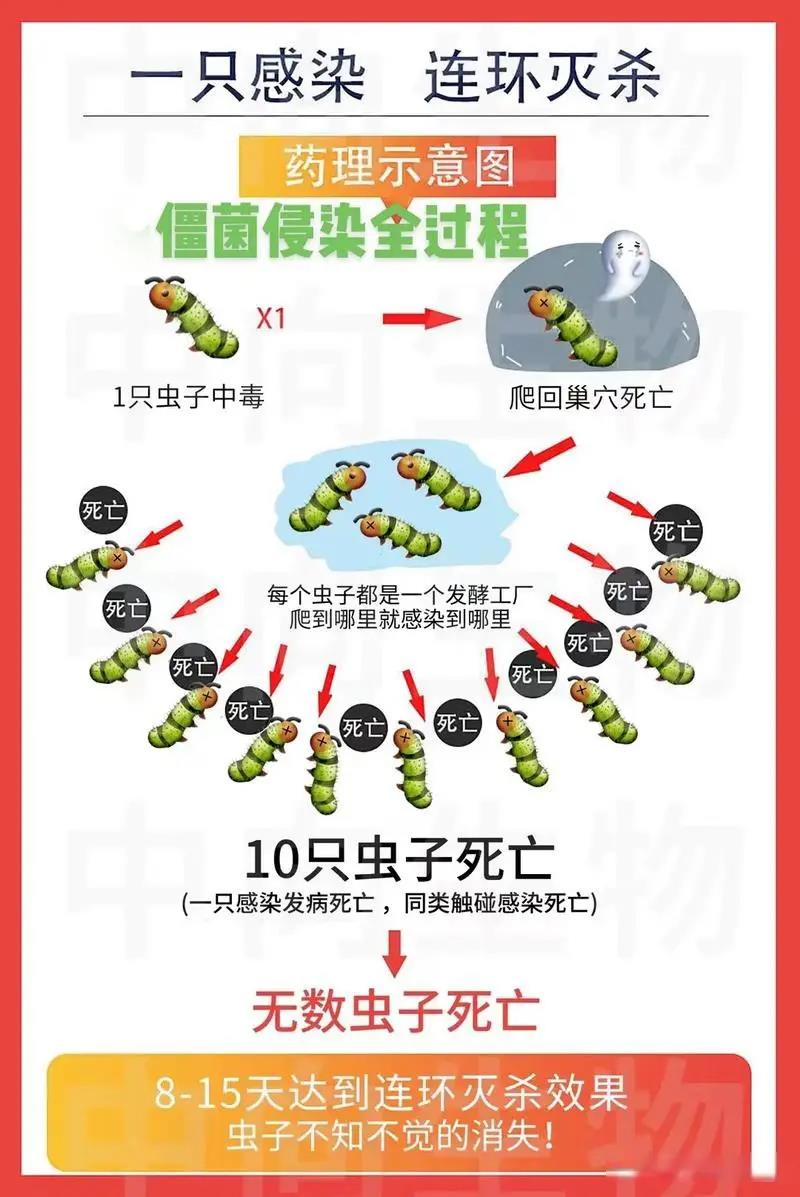 農藥殺蟲有因果報應嗎_農藥殺蟲有哪些藥_殺蟲農藥有哪些