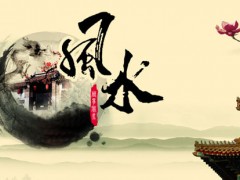 “在風(fēng)水學(xué)上，綠植到底怎么擺放？”